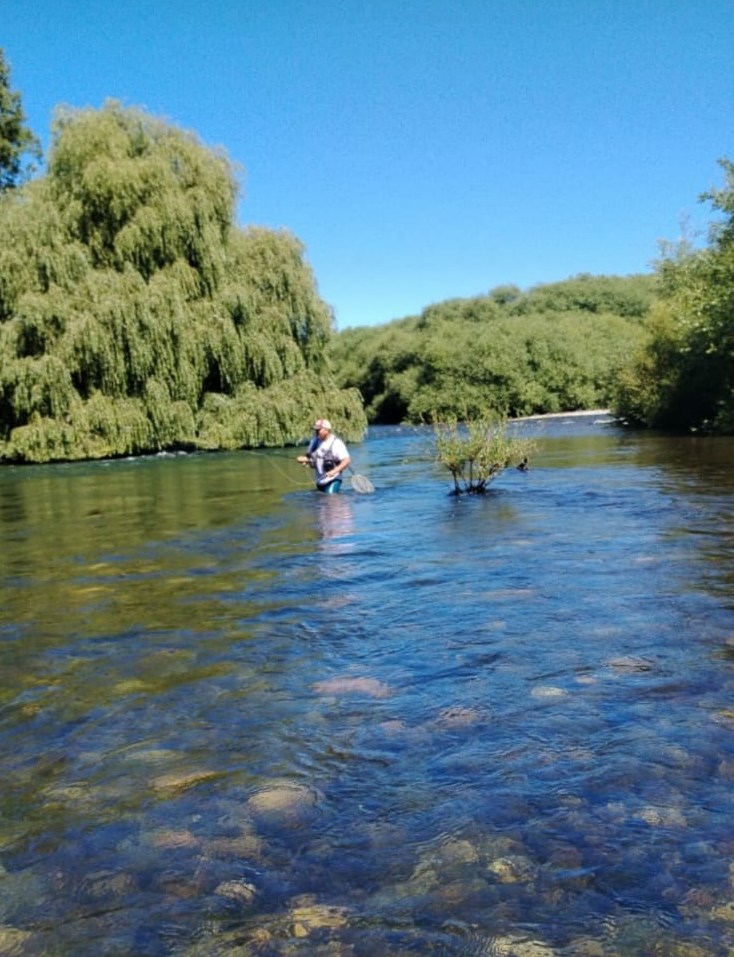 Pescador del club vadeando un río en un día soleado
